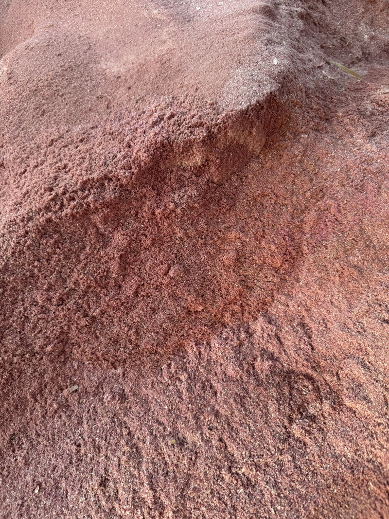 🌲 Red Cedar Sawdust | Aromatic, All-Natural | Forest Scent & Insect Repellent