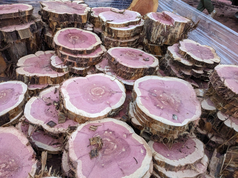 🌲 Red Cedar Cookies | 7–10” Round | 1” Thick | Live Edge Craft Wood Slices