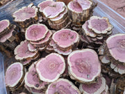 🌲 Red Cedar Cookies | 7–10” Round | 1” Thick | Live Edge Craft Wood Slices