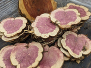 🌲 Red Cedar Cookies | 7–10” Round | 1” Thick | Live Edge Craft Wood Slices