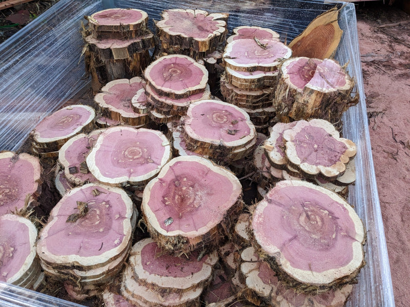 🌲 Red Cedar Cookies | 7–10” Round | 1” Thick | Live Edge Craft Wood Slices