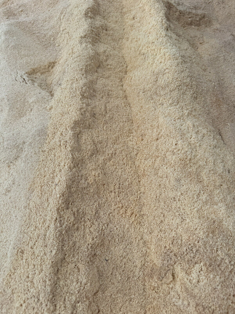 🌲 Pine Sawdust | 1 Gallon | Clean Wood Dust for Crafts, Pets, Fire Use