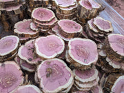 🌲 Red Cedar Cookies | 7–10” Round | 1” Thick | Live Edge Craft Wood Slices
