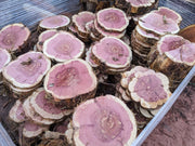 🌲 Red Cedar Cookies | 7–10” Round | 1” Thick | Live Edge Craft Wood Slices