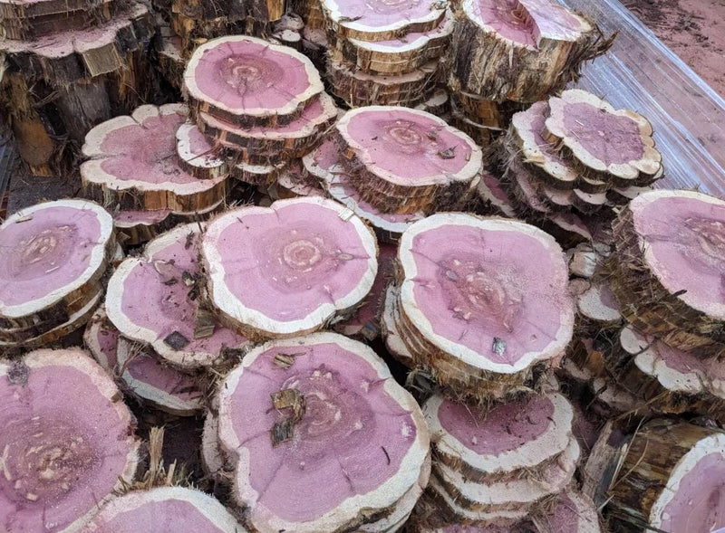 Rustic Red Cedar Wood Slices – Kiln-Dried Aromatic Logs for Crafts, Weddings & Home Décor