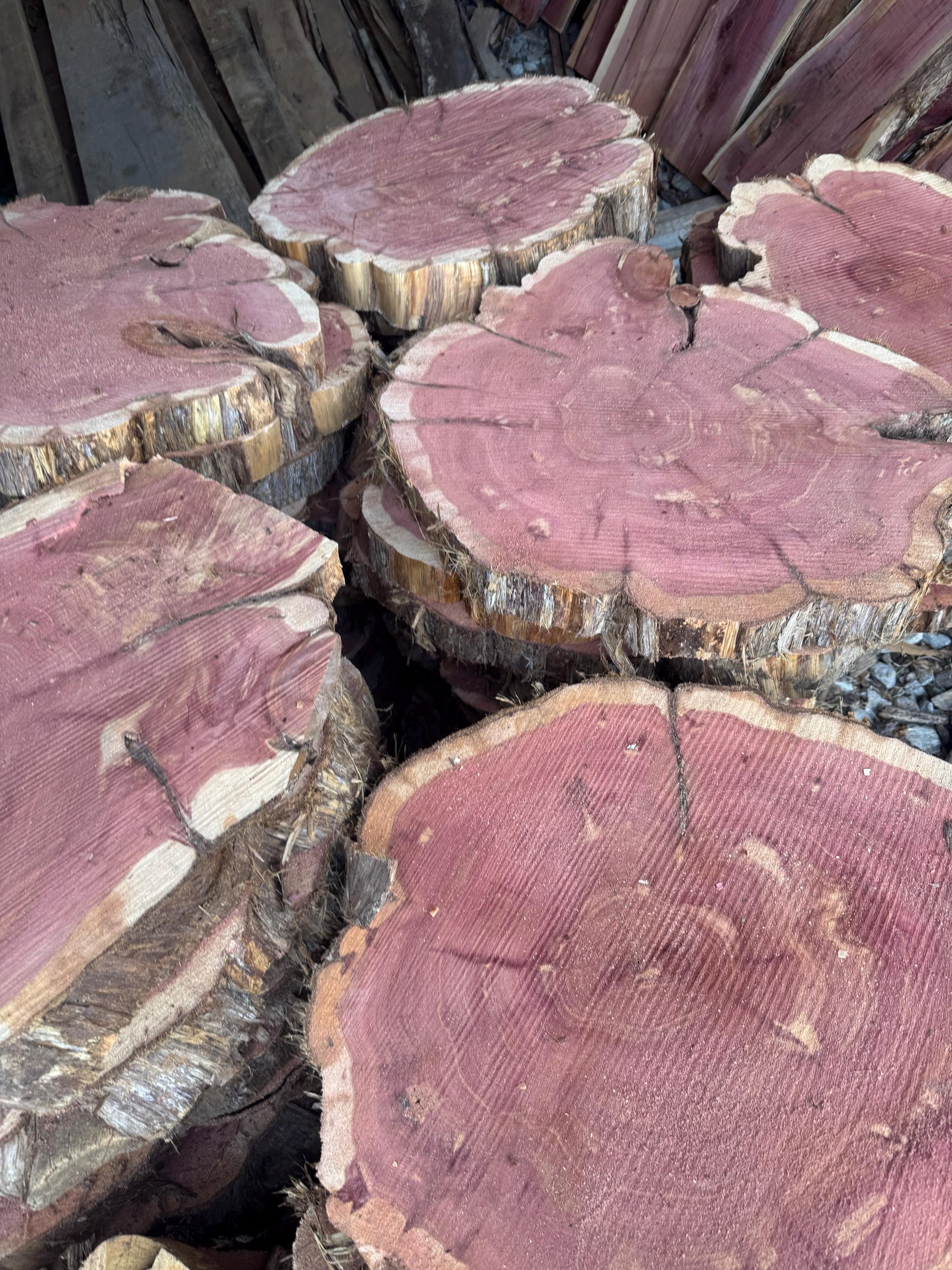Rustic Red Cedar Wood Slices – Kiln-Dried Aromatic Logs for Crafts, We ...