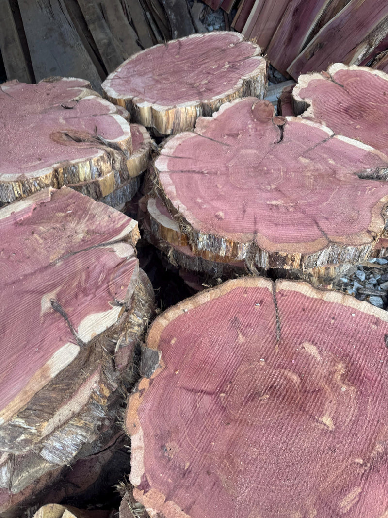 Rustic Red Cedar Wood Slices – Kiln-Dried Aromatic Logs for Crafts, Weddings & Home Décor