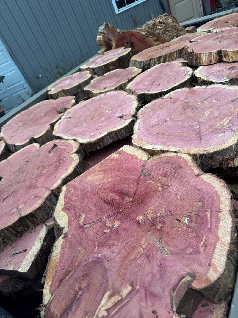Rustic Red Cedar Wood Slices – Kiln-Dried Aromatic Logs for Crafts, Weddings & Home Décor
