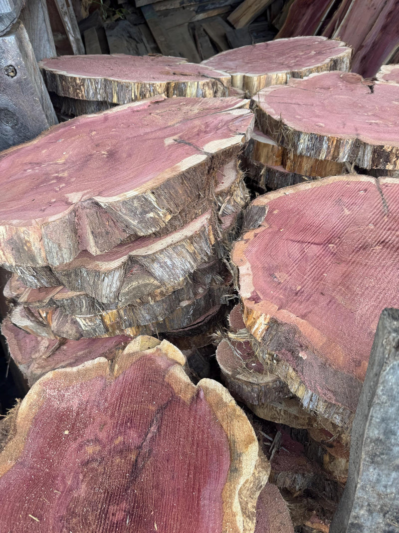 Rustic Red Cedar Wood Slices – Kiln-Dried Aromatic Logs for Crafts, Weddings & Home Décor