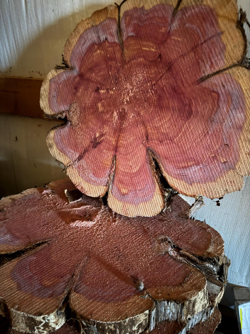 Rustic Red Cedar Wood Slices – Kiln-Dried Aromatic Logs for Crafts, Weddings & Home Décor