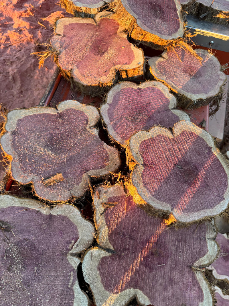 Rustic Red Cedar Wood Slices – Kiln-Dried Aromatic Logs for Crafts, Weddings & Home Décor